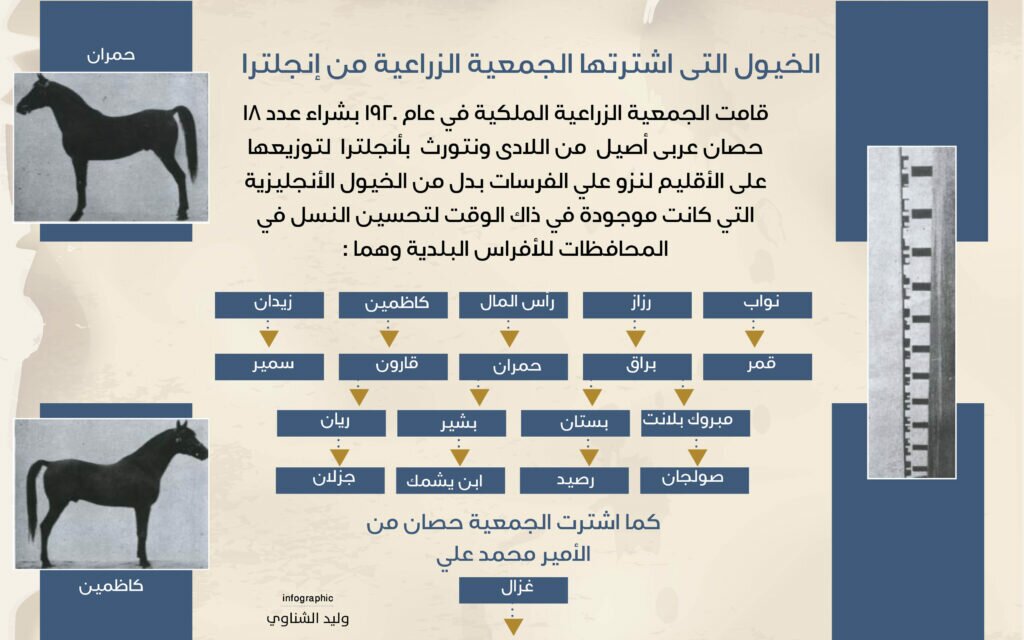 Horses purchased by the Agricultural Society from England
