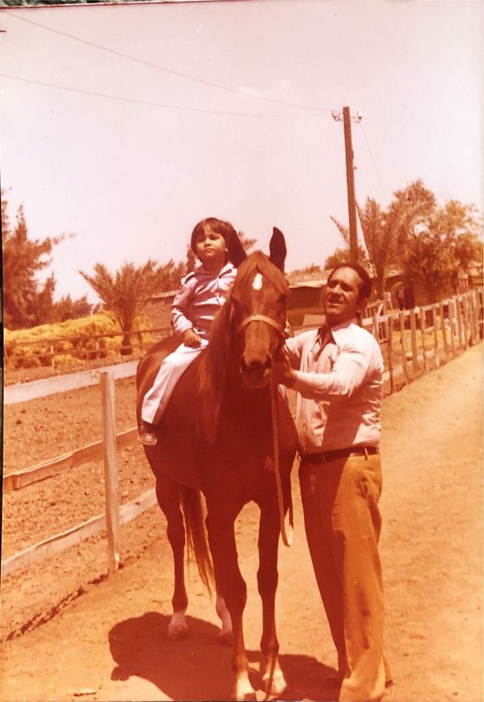 فرض الحراسة يحرم البدراوى من خيوله.. وجيل المزرعة السادس ينجح فى تحقيق طفرة فى صناعة الخيول