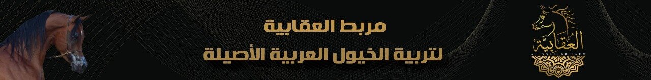 Header AD Image Header AD Image