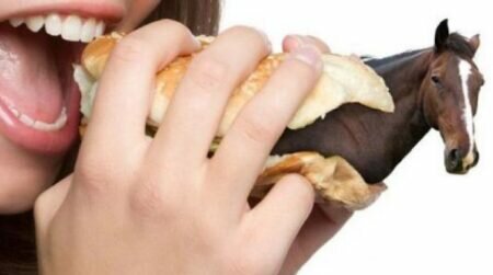 “والخيل والبغال والحمير لتركبوها وزينة”.. حكم أكل لحوم الخيل