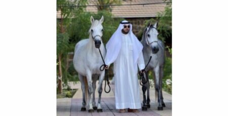 العقابية مزرعة تربي الخيول ذات الدماء المصرية بالمدينة المنورة